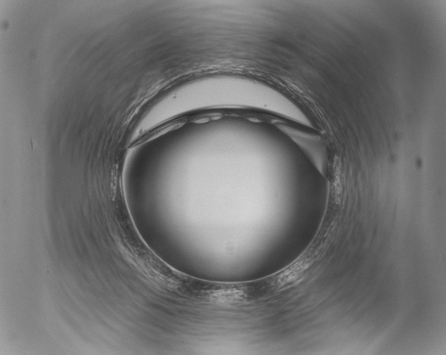 X0000055510168200509091351