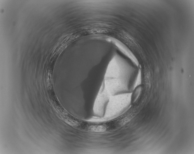 X0000055510169200509091351