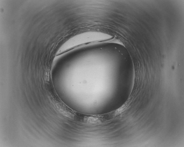 X0000055510180200509091351