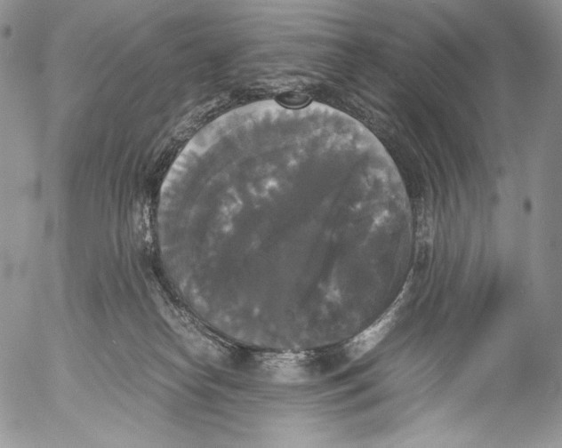 X0000055510182200509091351