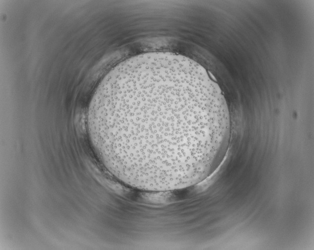 X0000055510191200509091351