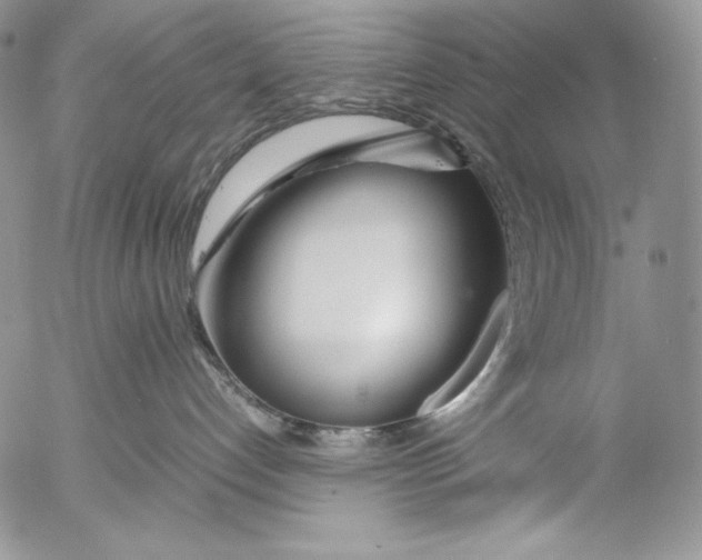 X0000055510192200509091351