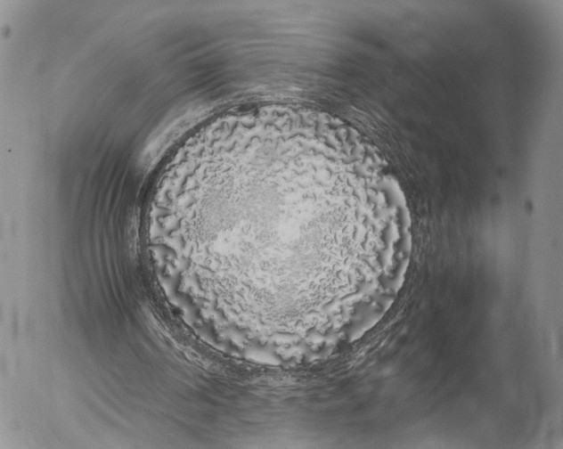 X0000055510194200509091351
