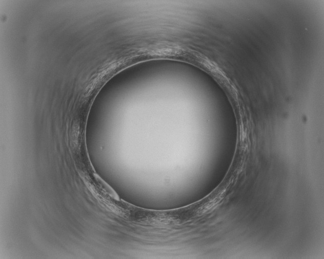 X0000055510201200509091351