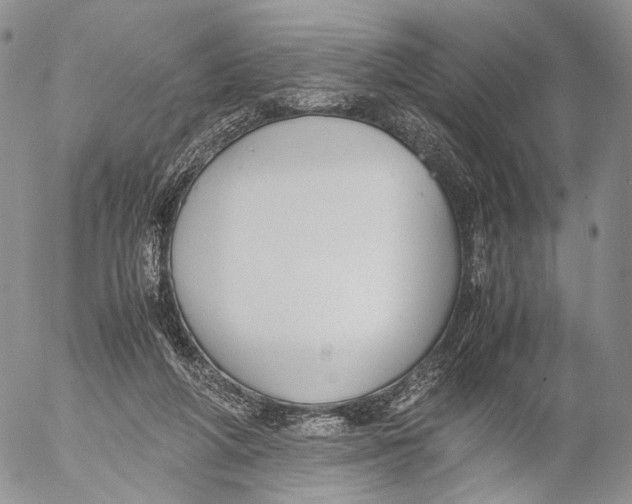 X0000055510210200509091350