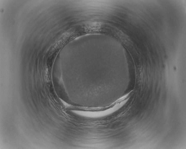 X0000055510224200509091350