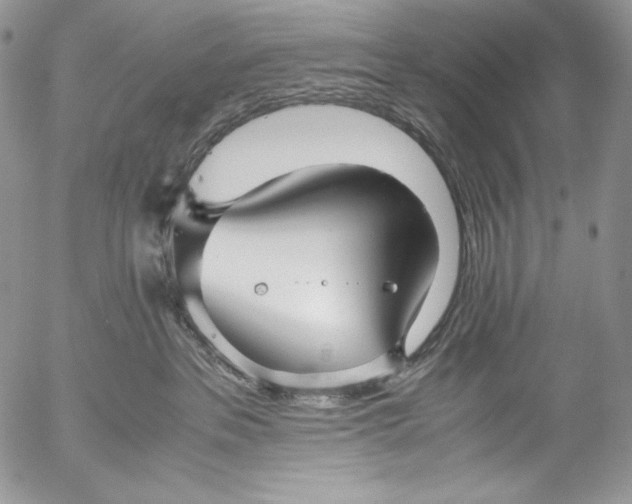 X0000055510237200509091350