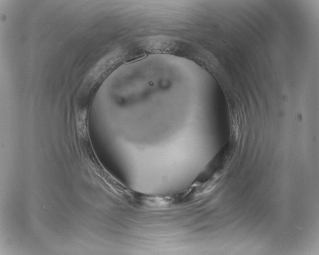 X0000055510239200509091350