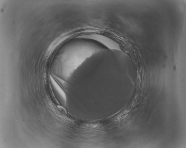 X0000055510247200509091349