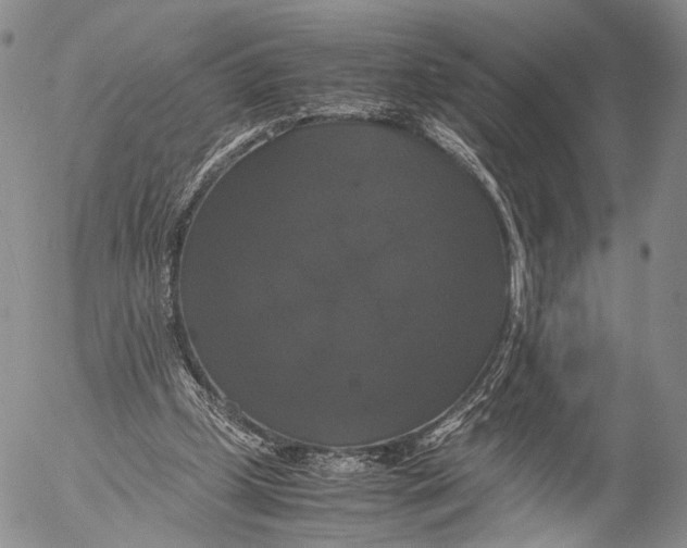 X0000055510249200509091349