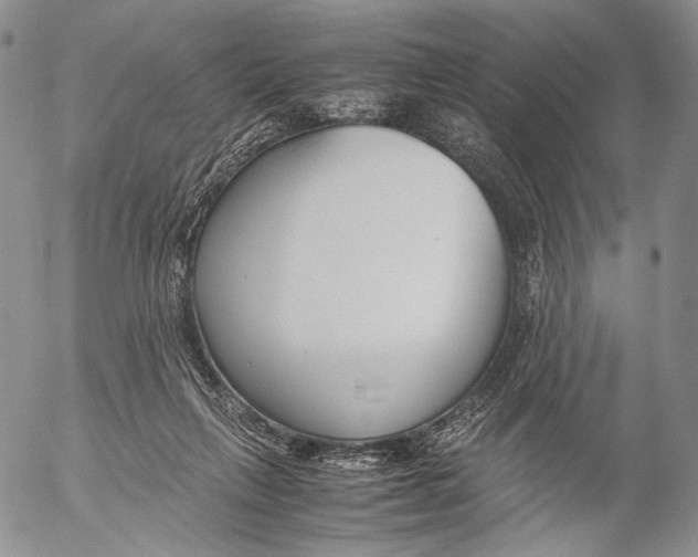X0000055510263200509091349