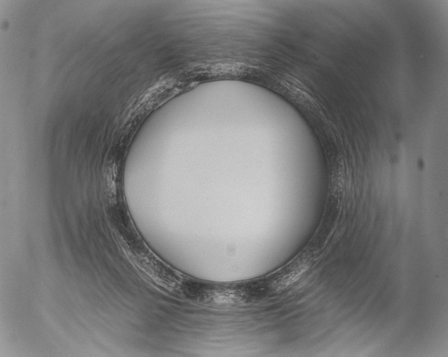 X0000055510264200509091349
