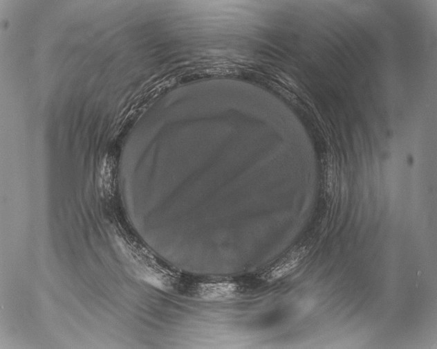 X0000055510266200509091350