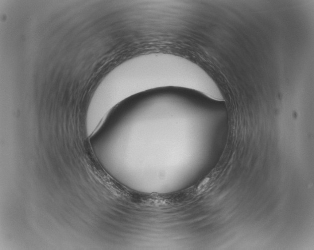 X0000055510276200509091350