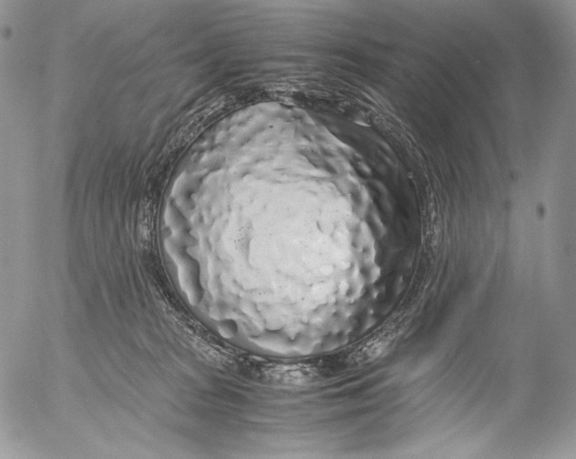 X0000055510277200509091350