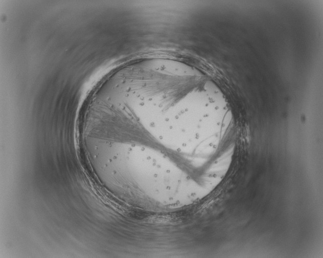 X0000055510294200509091349