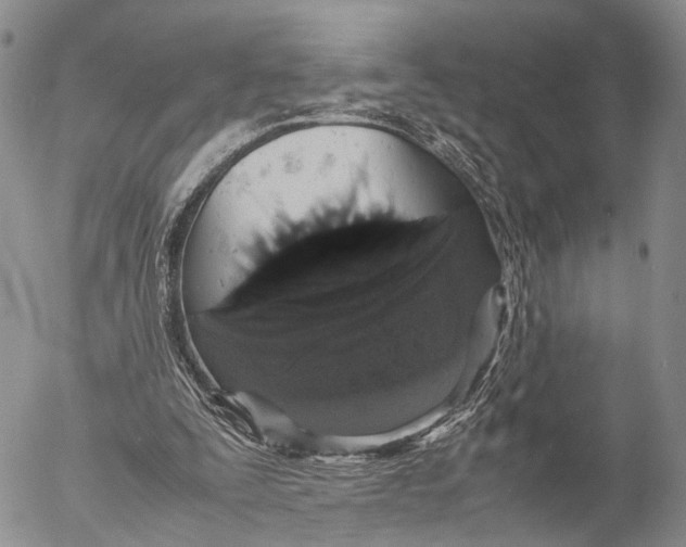 X0000055510295200509091349