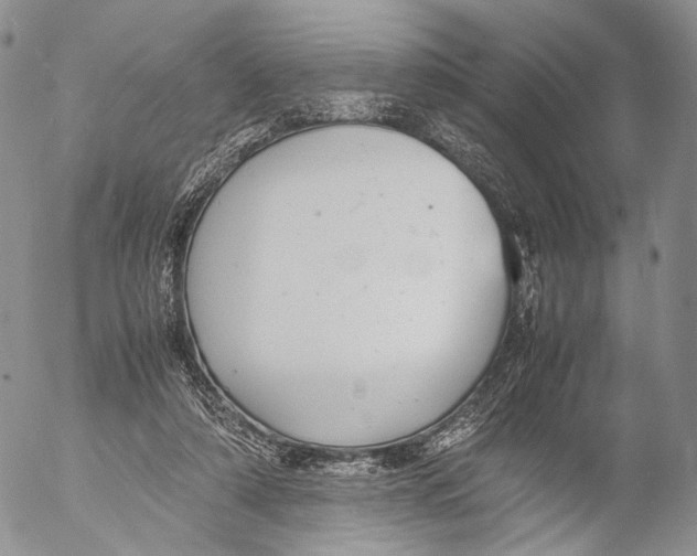 X0000055510306200509091349
