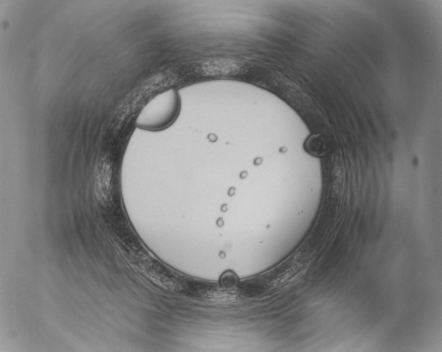 X0000055510308200509091349