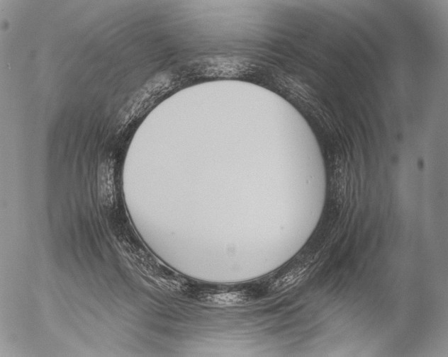 X0000055510312200509091349
