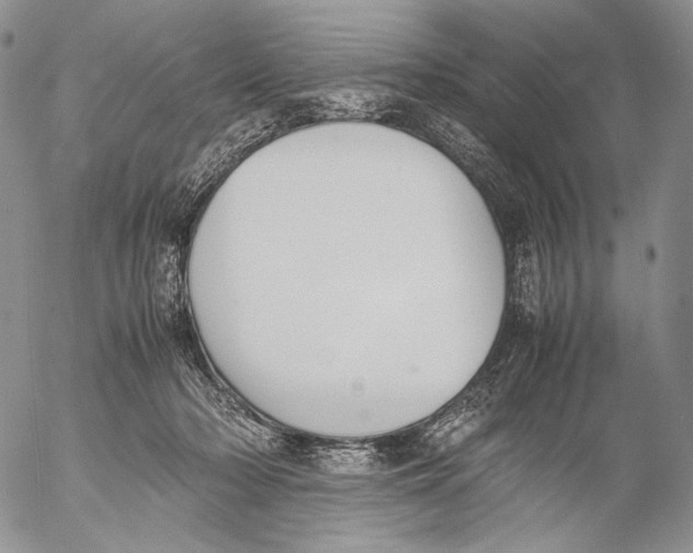 X0000055510318200509091349
