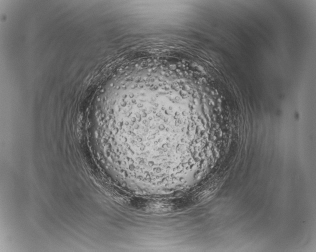 X0000055510319200509091349