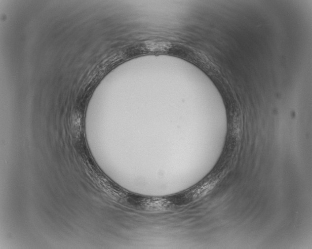 X0000055510321200509091349