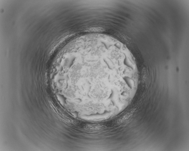 X0000055510351200509091348