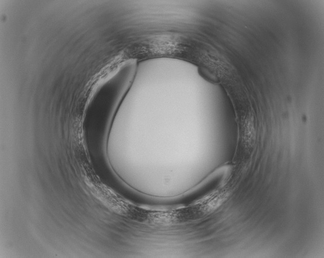 X0000055510356200509091348