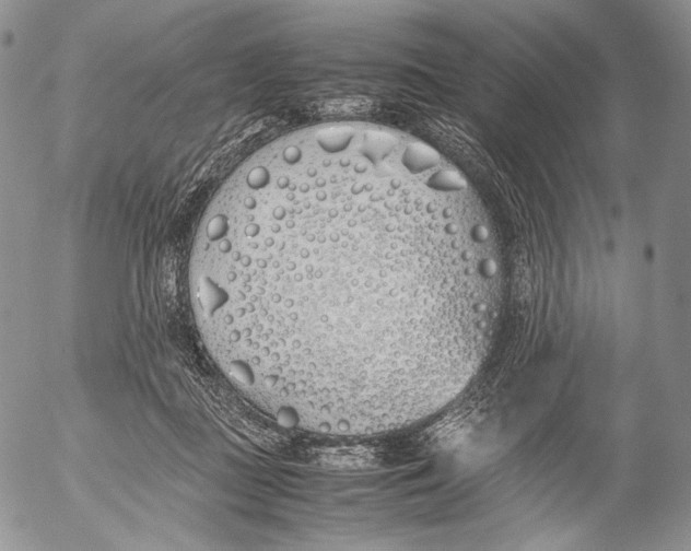X0000055510363200509091348