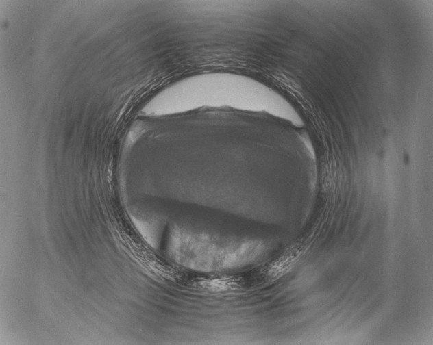X0000055510365200509091348