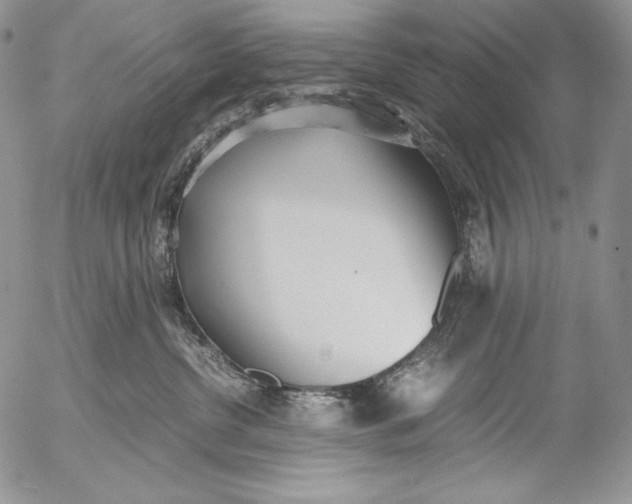 X0000055510380200509091348