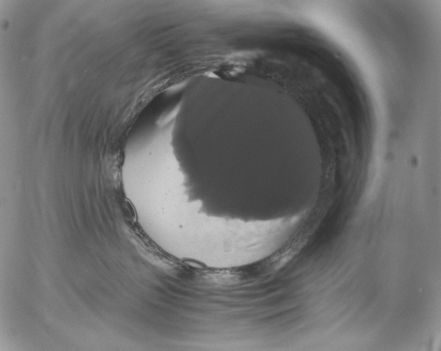 X0000055510383200509091348
