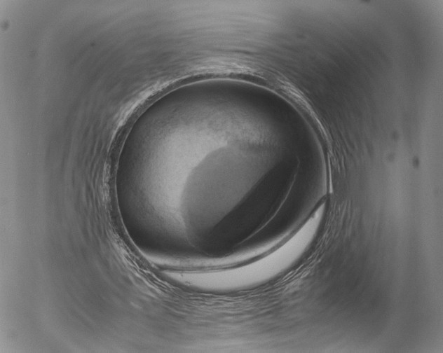 X0000055510387200509091347