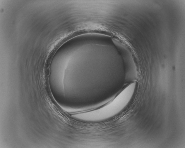 X0000055510391200509091347