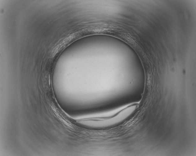 X0000055510397200509091347