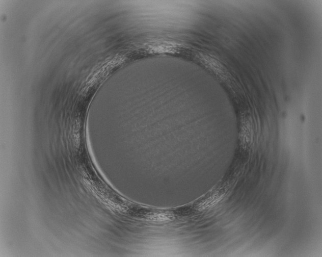 X0000055510402200509091347