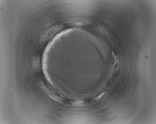 X0000055510410200509091347