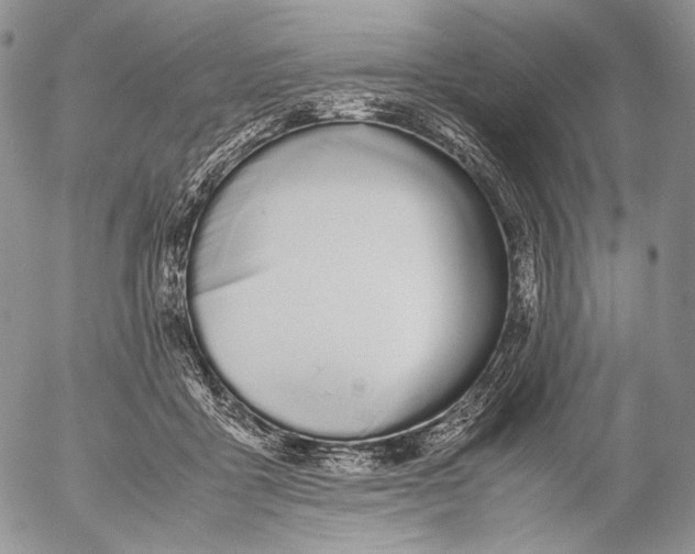 X0000055510411200509091347