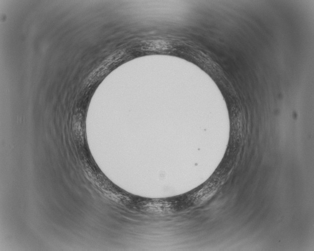 X0000055510415200509091347