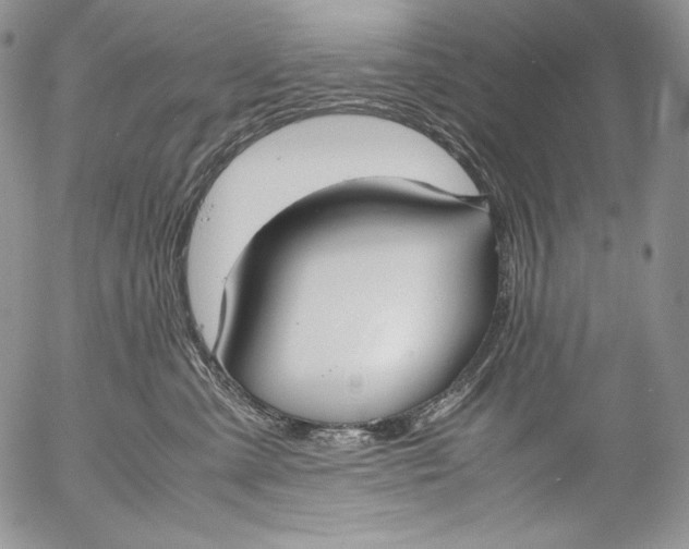X0000055510427200509091347