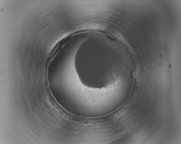 X0000055510434200509091346