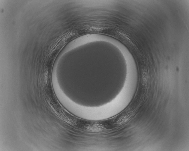 X0000055510451200509091346