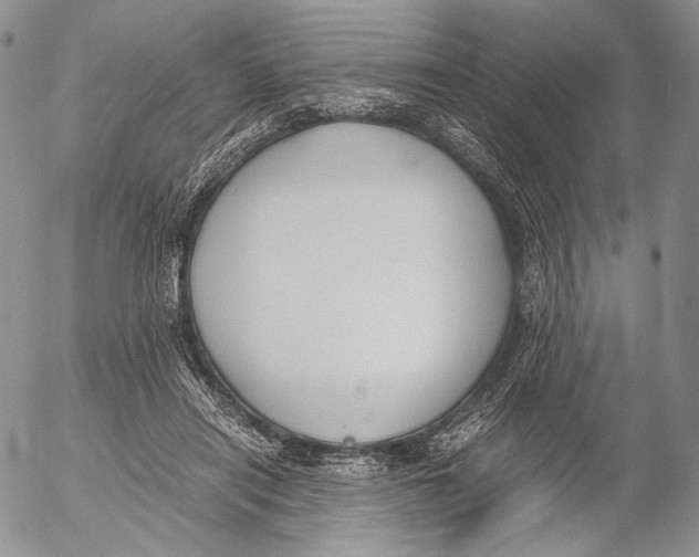 X0000055510454200509091346