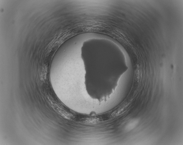 X0000055510458200509091346