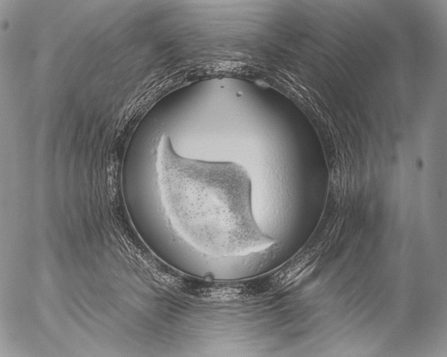 X0000055510462200509091346