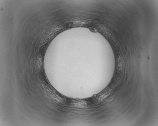 X0000055510463200509091346