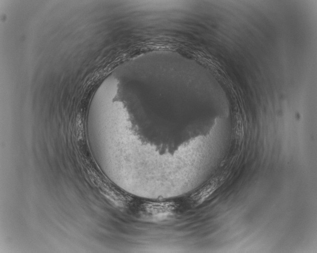 X0000055510465200509091346