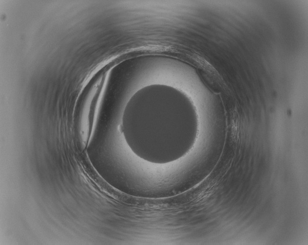 X0000055510484200509091346