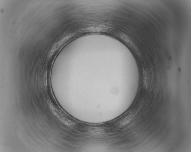 X0000055510486200509091346